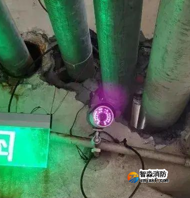 1655694006500960.png image.png